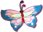 CB's Urn butterfly 01