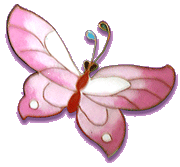 CB's Urn butterfly 02