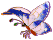 CB's Urn butterfly 03