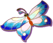 CB's Urn butterfly 04