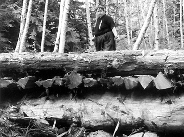 Chris Bearchell works on the construction of an old-style logging road log bridge that crosses Lenfesty Creek in order to put the road in to Camp Swampy. August 1997.