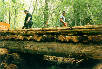 Chris and Don Macdonald finish the deck on their traditional log logging bridge.