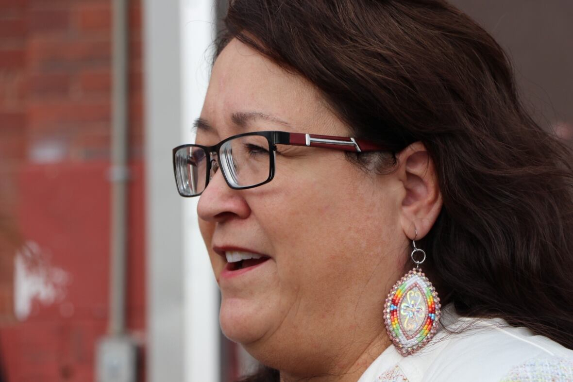 Diane Redsky, executive director of Ma Mawi Wi Chi Itata Centre, says changes to the Doing Business in Winnipeg bylaw are 'critically important.' (Kelly Malone/CBC)