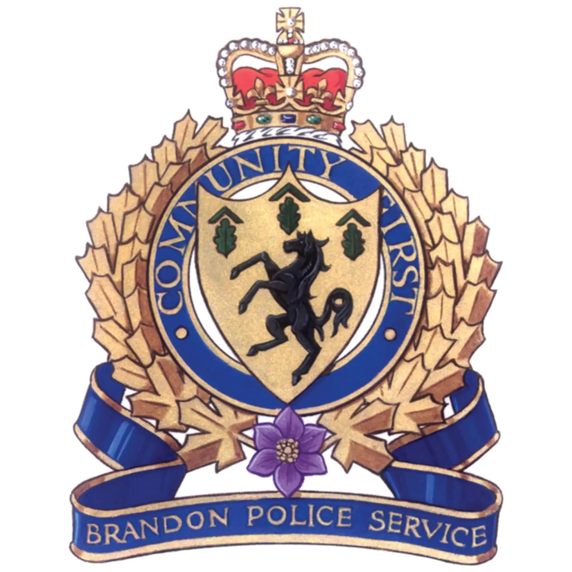 Brandon Police Service