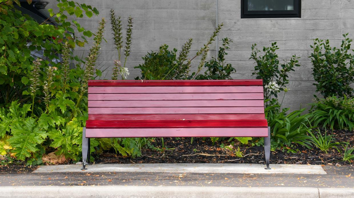 A sex worker memorial seat on Manchester St was recently refurbished. It is pictured here before the new plaque was unveiled. Photo: Ollie Bourguignon/Stuff Digital