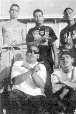 A photo of California gang members used to urge Ontarians to elect law-and-order legislators. Its caption read:'There's only one thing that these guys fear. Your vote.'